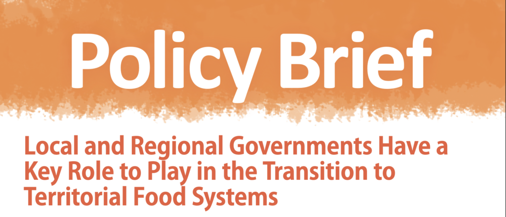 Local and Regional Governments Have a Key Role to Play in the ...