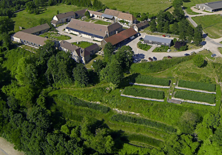 photo-aerienne-redim2